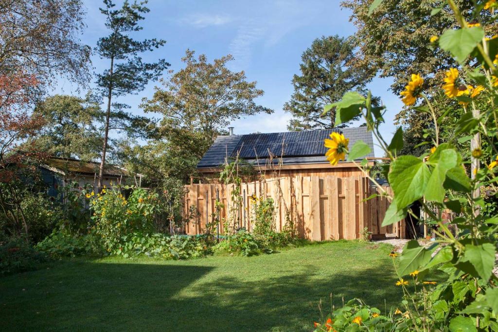 Ecolodge de Parel Schoorl room 1